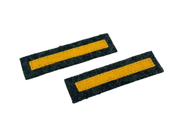 Royal Army Pay Corps Arm of Service Strips (Pair)
