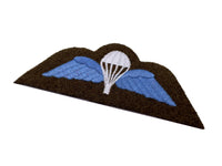 Parachutist's Badge/Wings